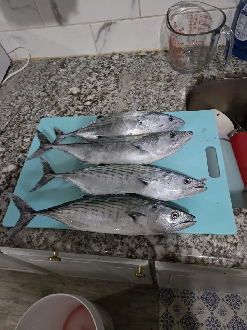 Fishing in Fort Walton Beach, Florida