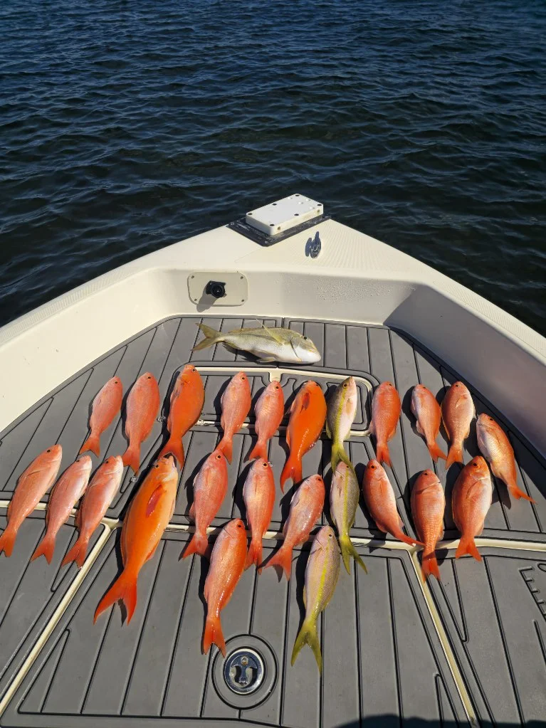Fishing in Key Largo, Florida