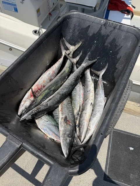 Fishing in Fernandina Beach, Florida