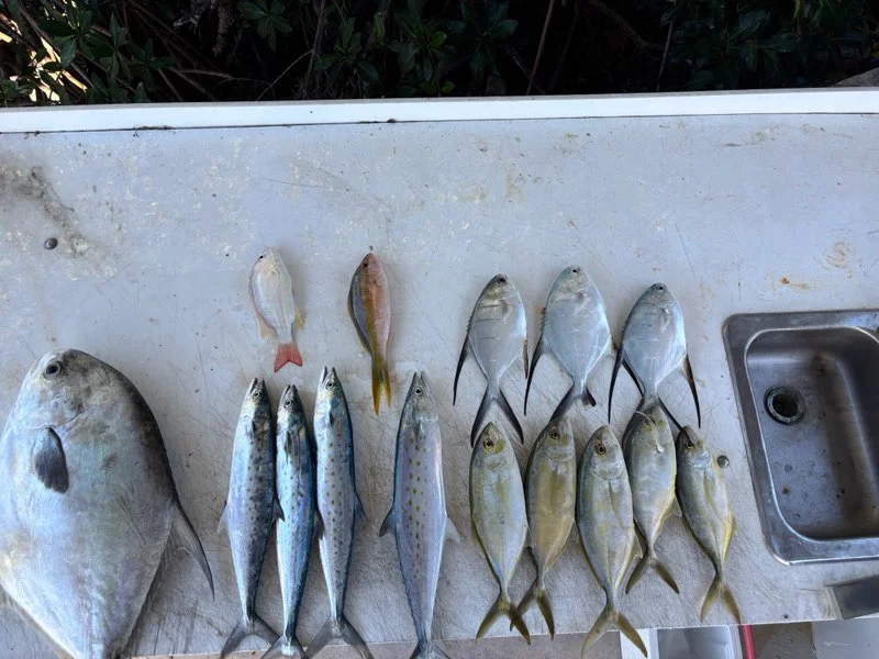 Fishing in Key Largo, Florida