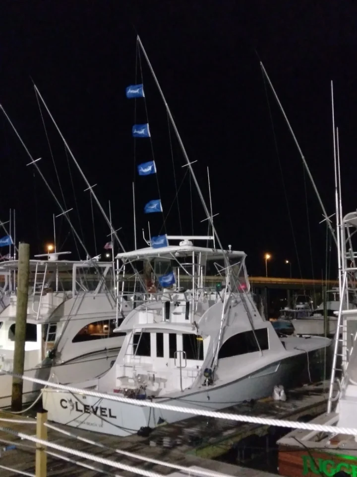 Fishing in Virginia Beach, Virginia