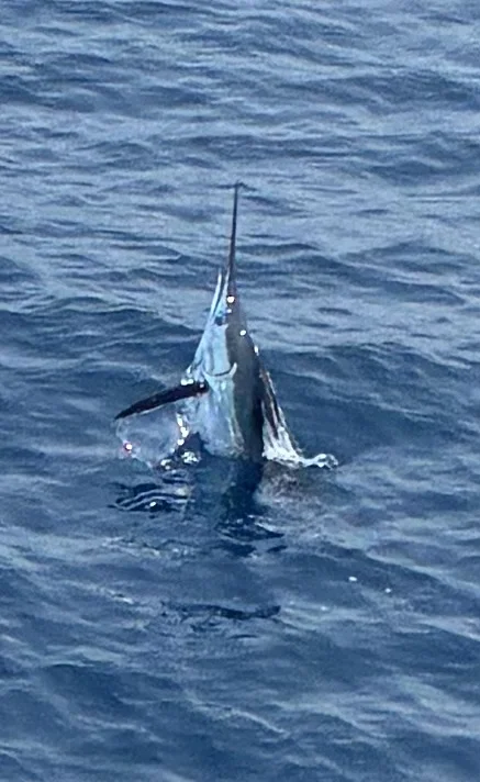 Fishing in Hatteras, North Carolina