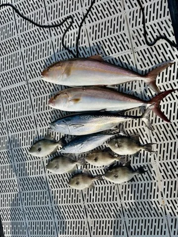 Fishing in Morehead City, North Carolina