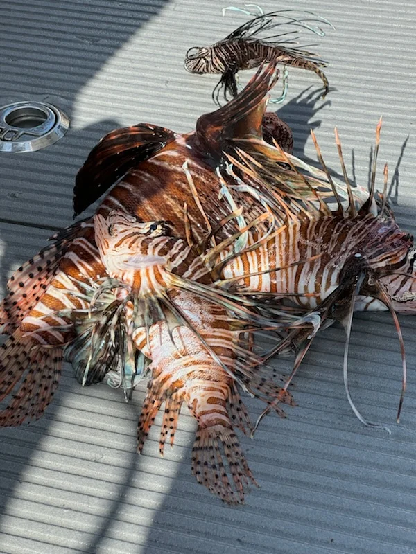 Fishing in Miami, Florida