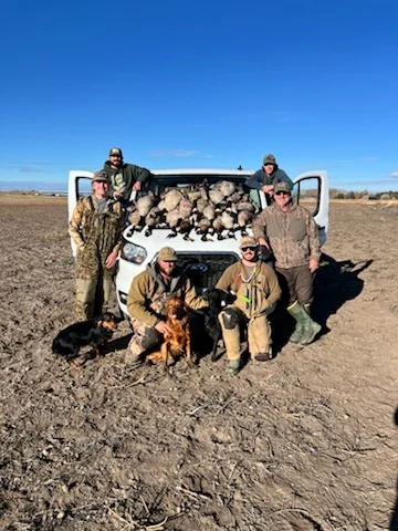 Mallard Hunting in Bay City, Texas