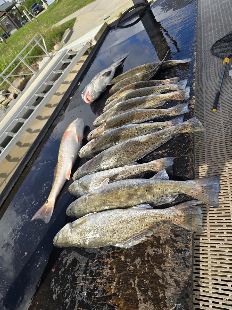 Fishing in Galveston, Texas