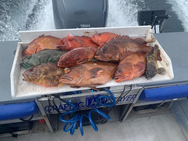 Fishing in Oxnard, California