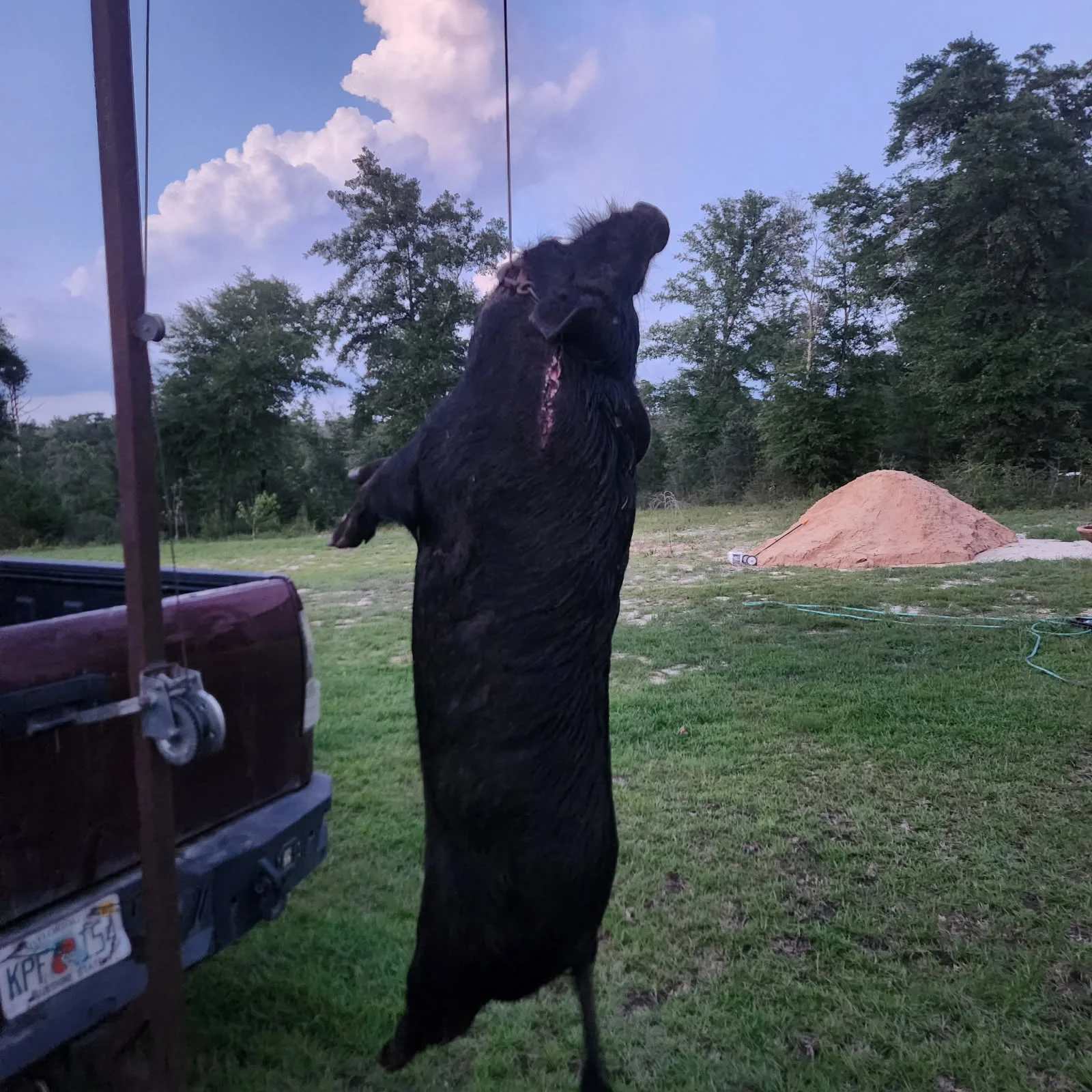 Hunting in Crestview, Florida
