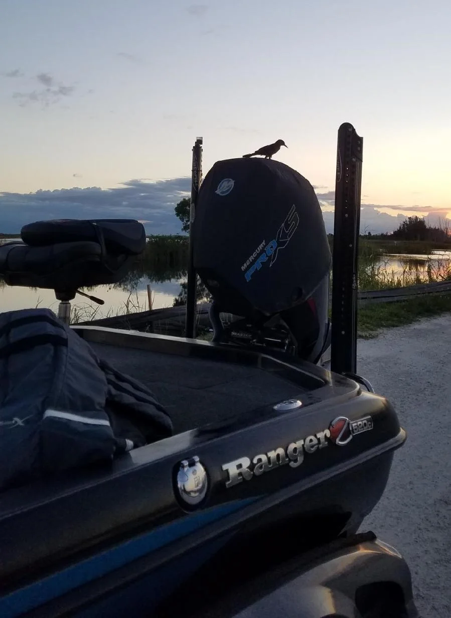 Peacock Bass Fishing in Fort Lauderdale, Florida