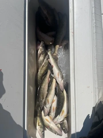 Fishing in Oak Harbor, Ohio