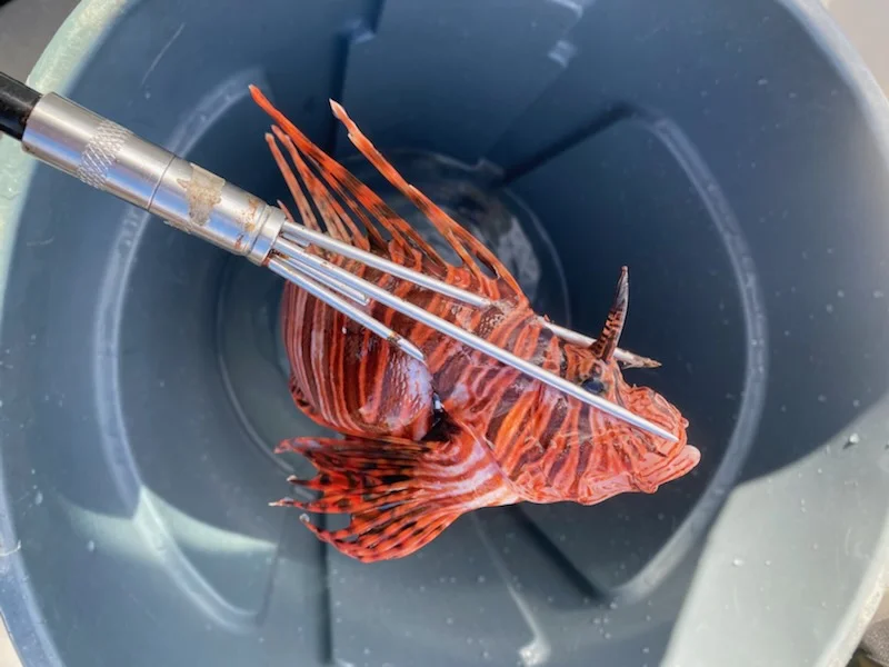 Fishing in Key West, Florida