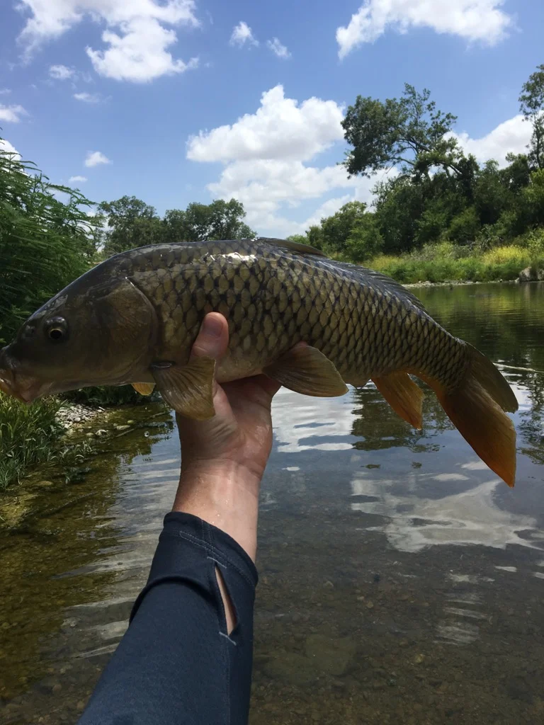 Fishing in Austin, Texas