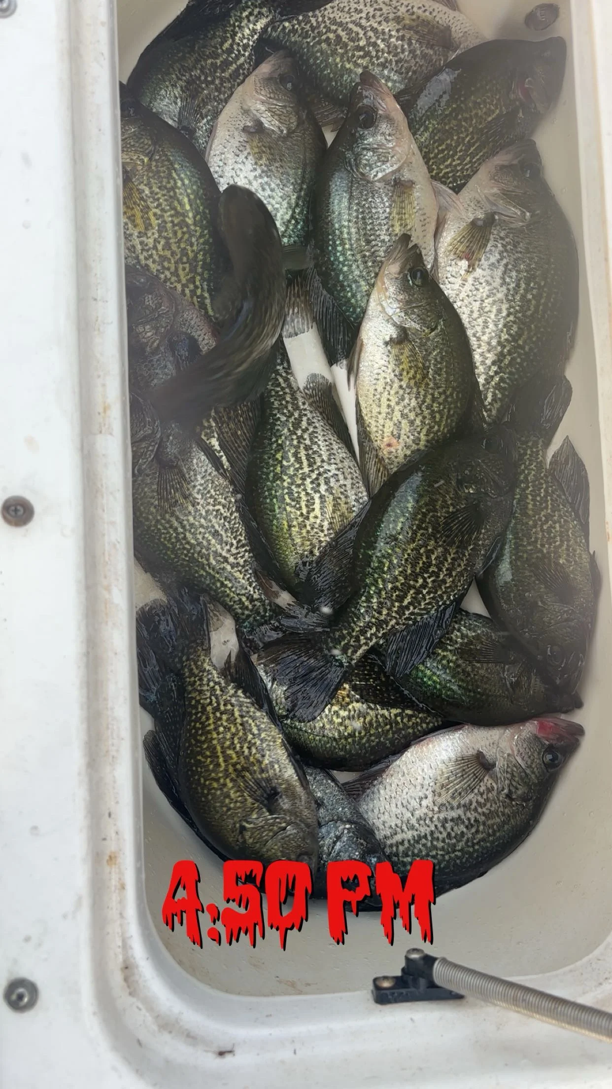 Fishing in Clewiston, Florida
