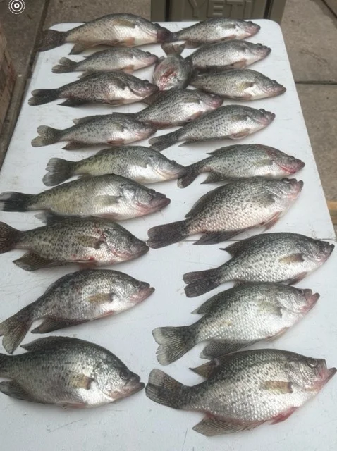 Fishing in Willis, Texas