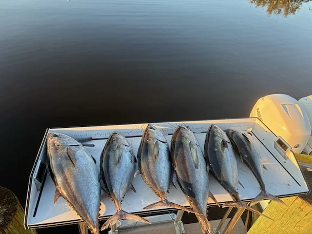Fishing in Jupiter, Florida