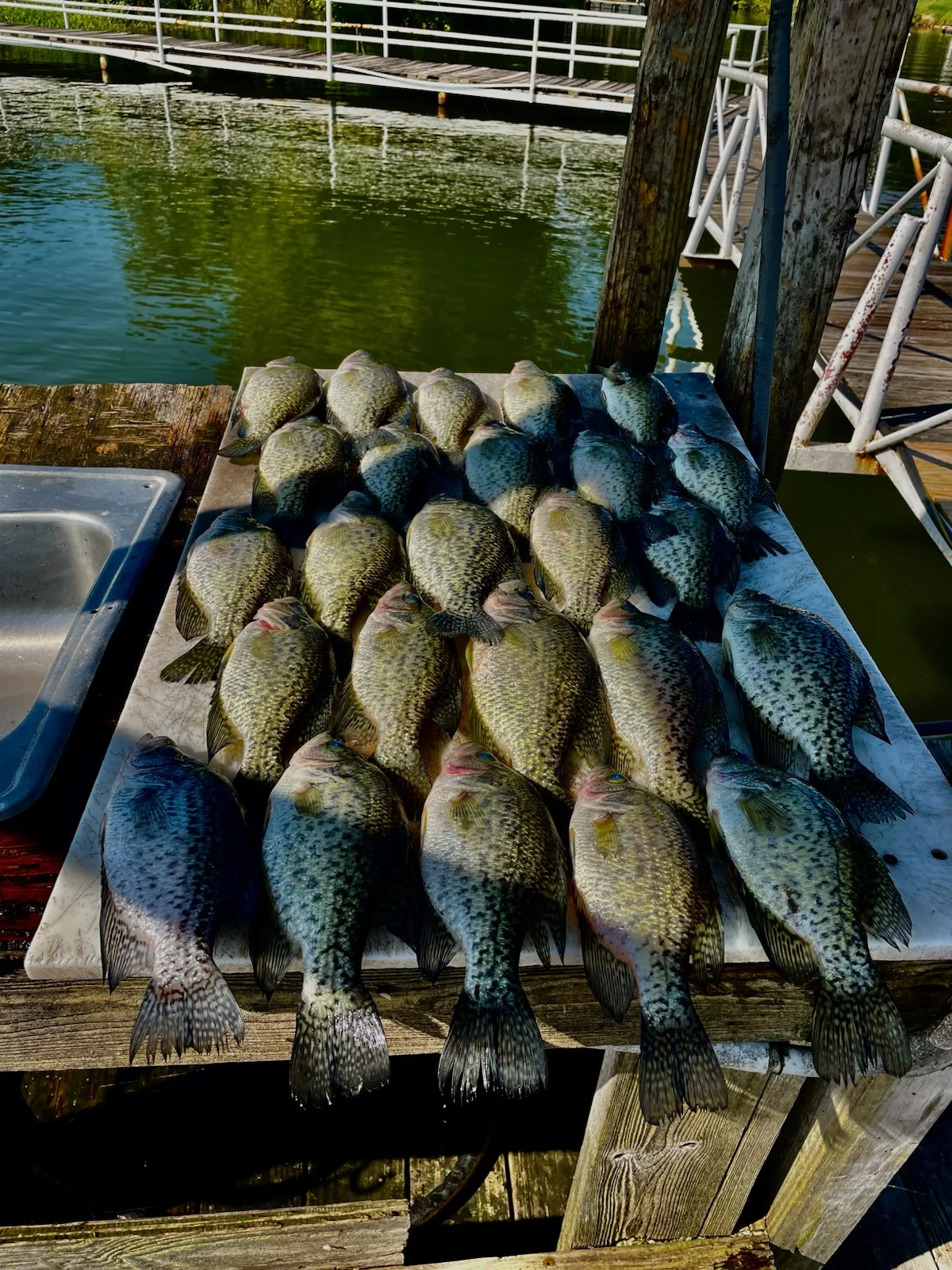 Fishing in Upalco, Utah