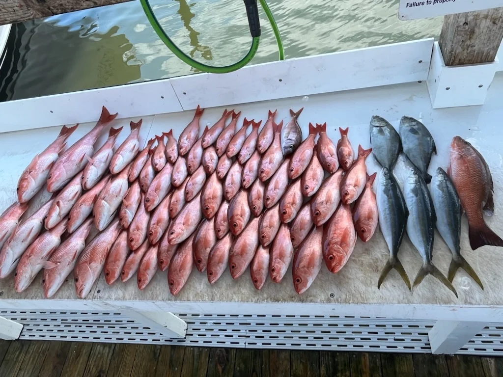 Fishing in Orange Beach, Alabama