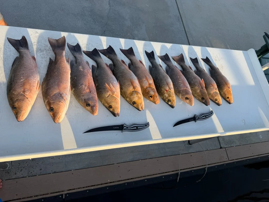 Fishing in Key West, Florida
