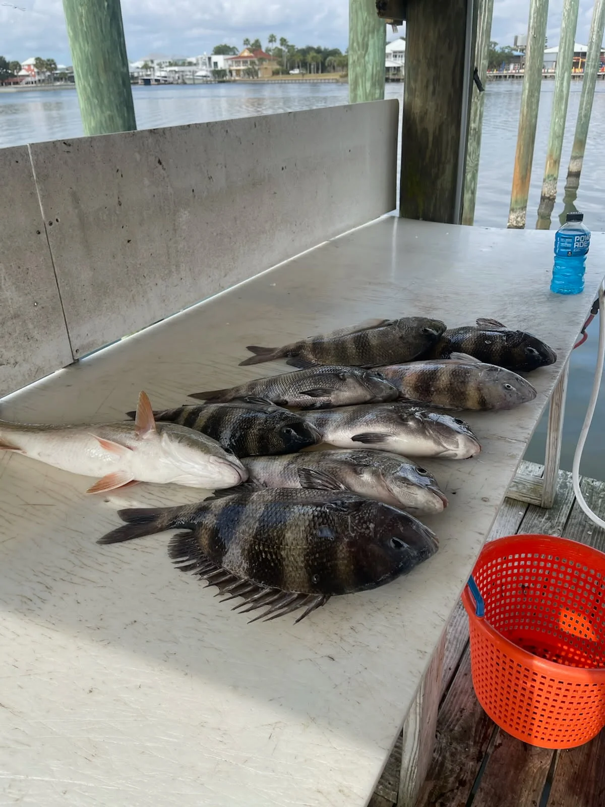 Fishing in Orange Beach, Alabama