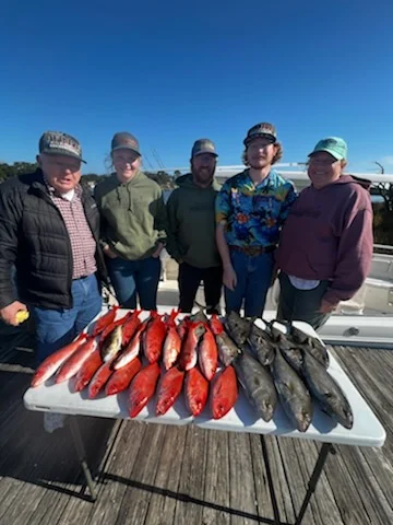 Amberjack, Vermillion Snapper Fishing in Pensacola, Florida