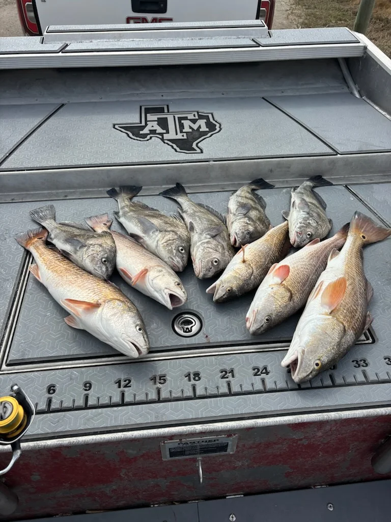 Fishing in Ingleside, Texas