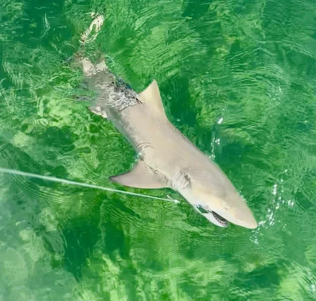 Fishing in Key West, Florida