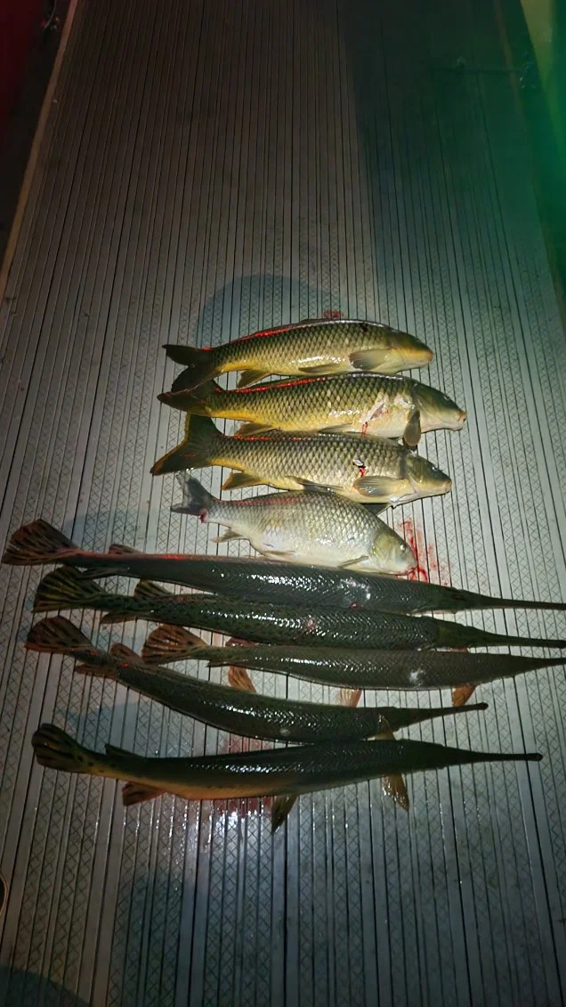 Fishing in Powersite, Missouri