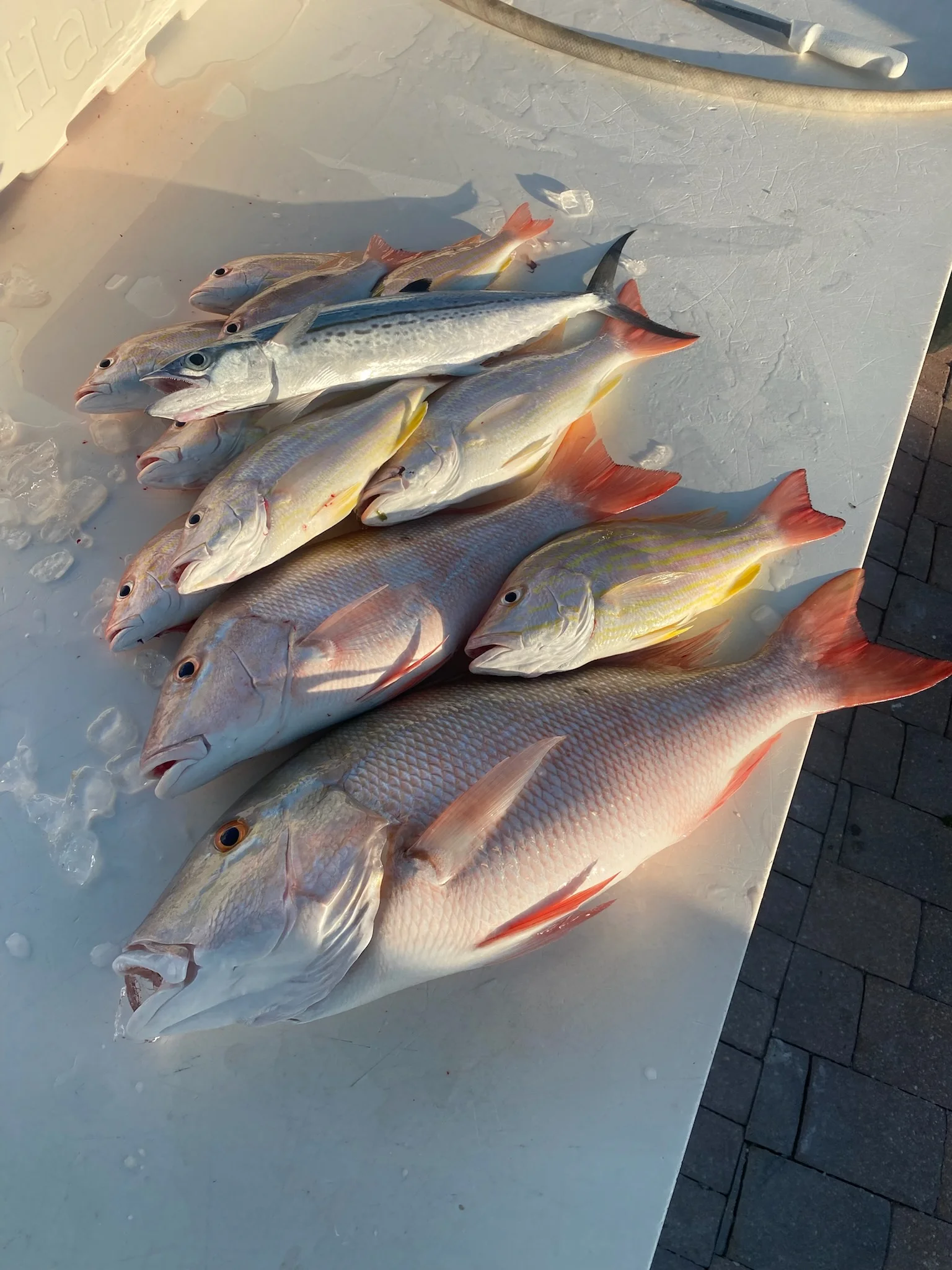 Fishing in Key West, Florida
