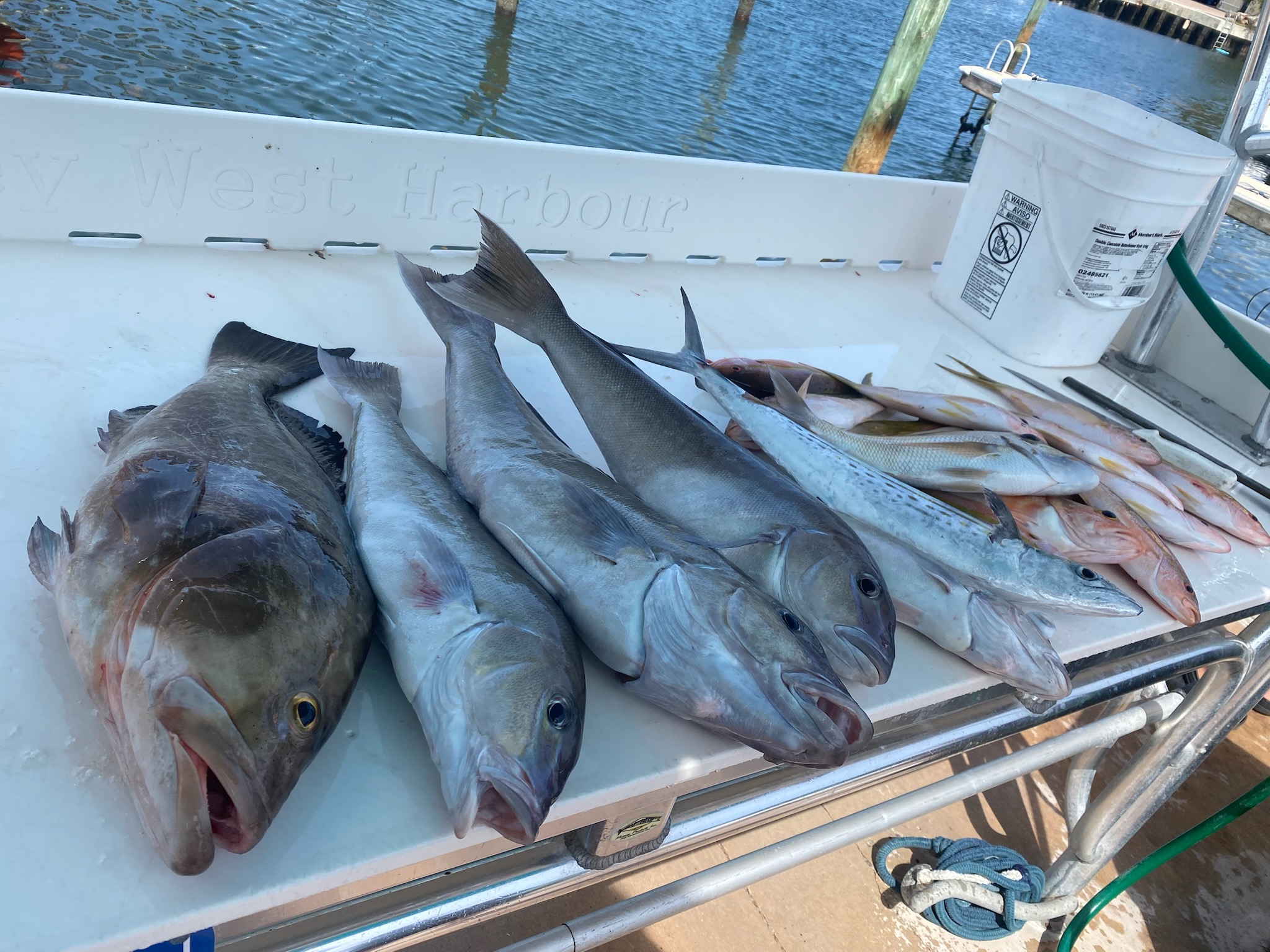 Fishing in Key West, Florida