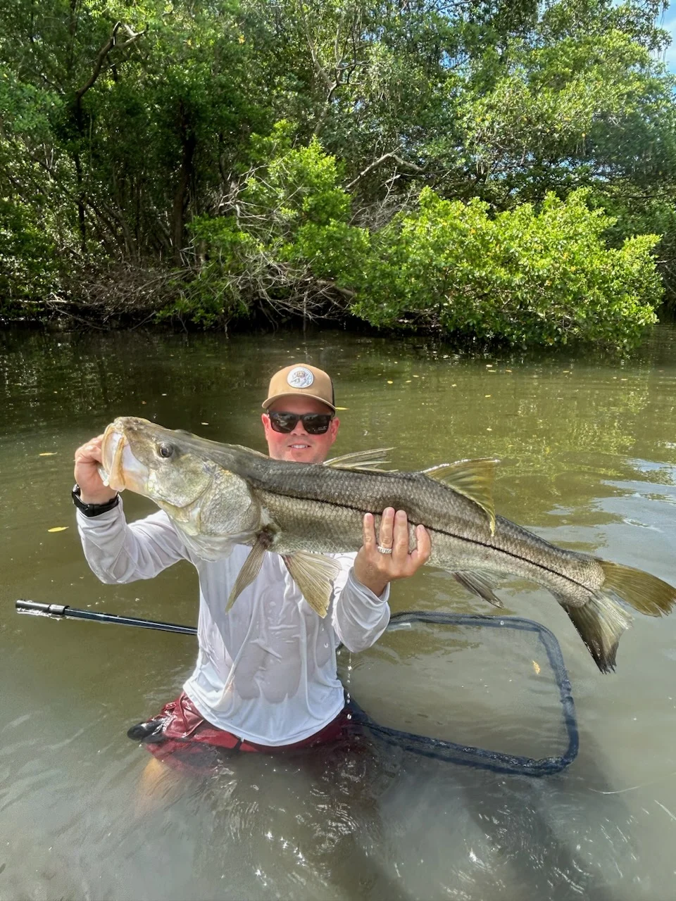 Snook Fishing in Tampa, Florida