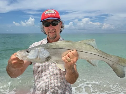 Fishing in Sarasota, Florida