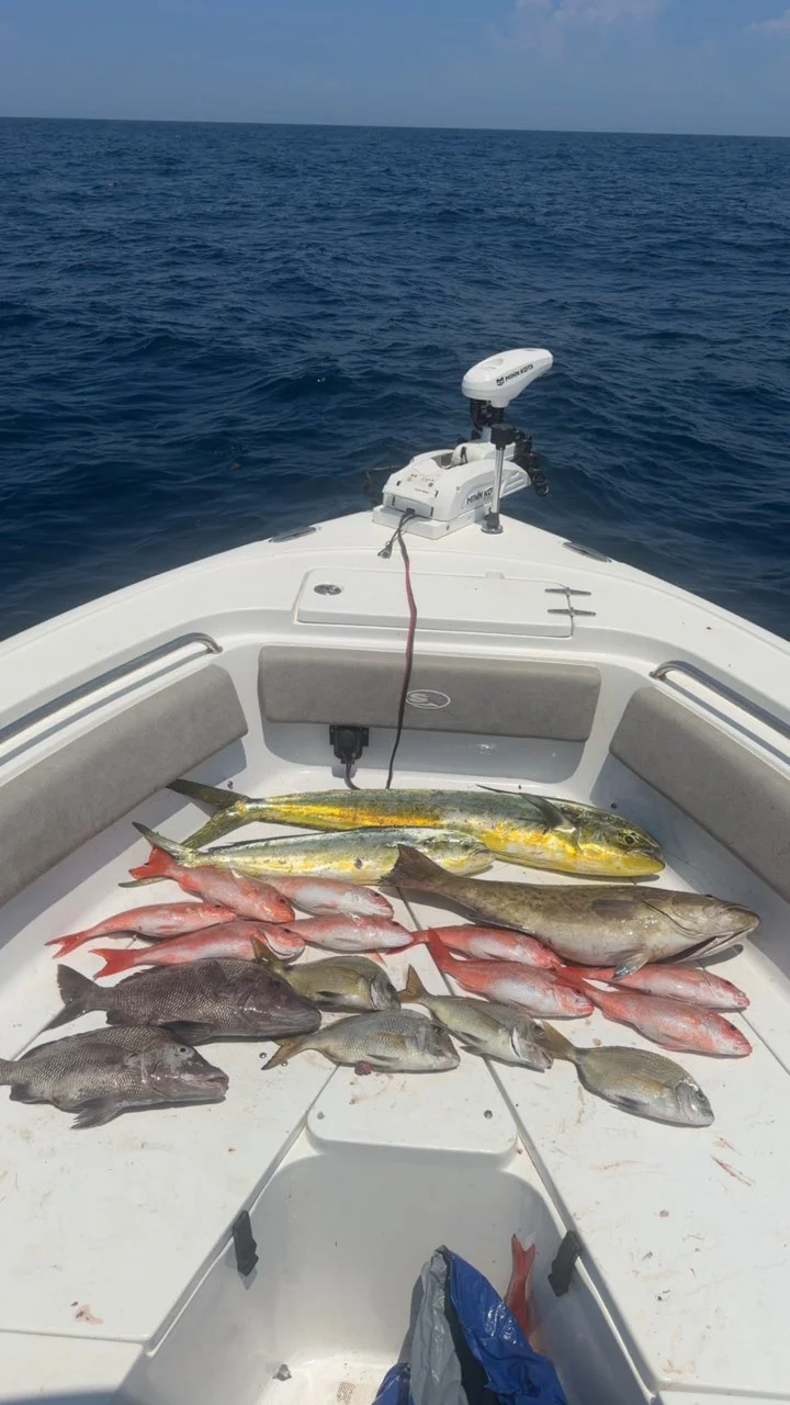 Fishing in Mount Pleasant, South Carolina