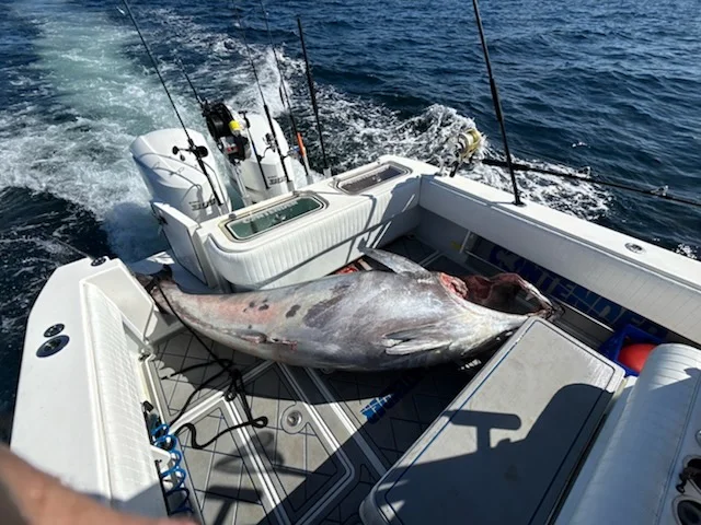Fishing in Dennis, Massachusetts