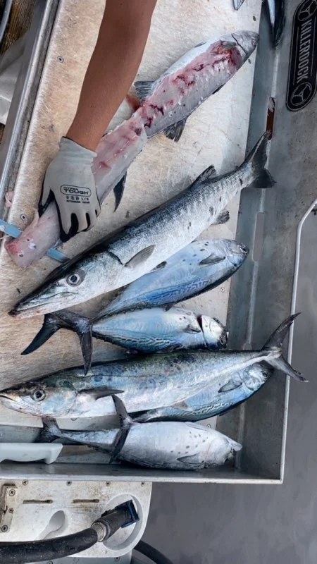 Fishing in Myrtle Beach, South Carolina