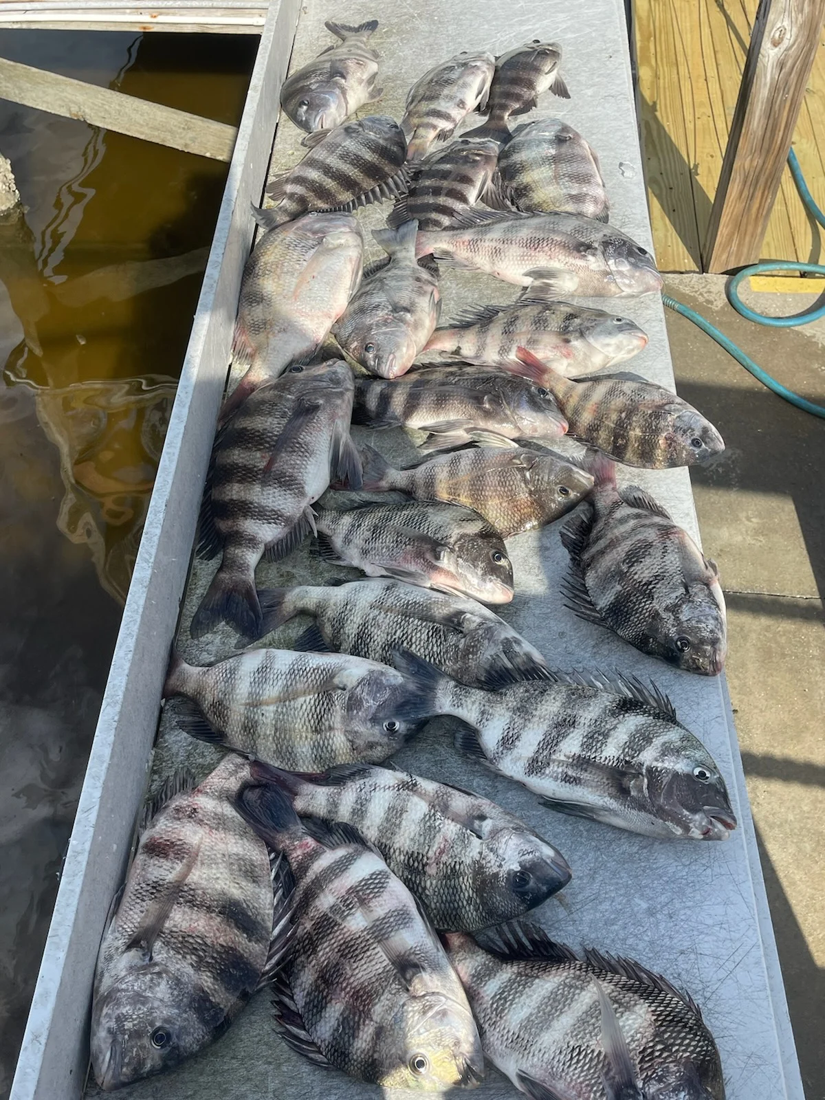Fishing in Jacksonville, Florida