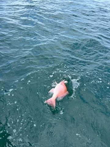 Fishing in Port Orange, Florida