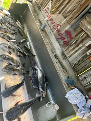 Fishing in D'Iberville, Mississippi