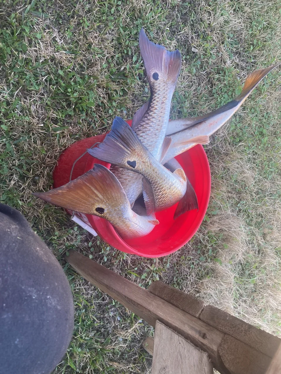 Fishing in Rockport, Texas