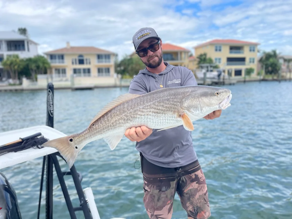 Redfish fishing in Clearwater, Florida