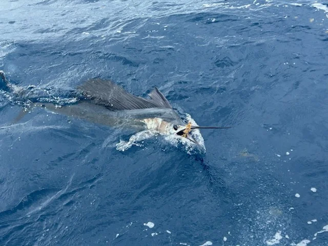Fishing in Pompano Beach, Florida