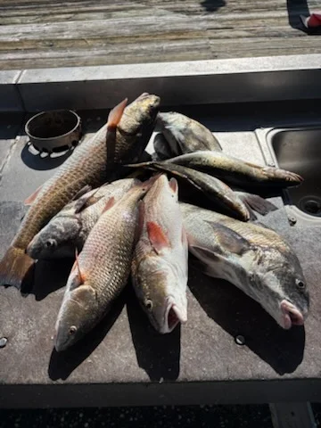 Fishing in Lake Charles, Louisiana