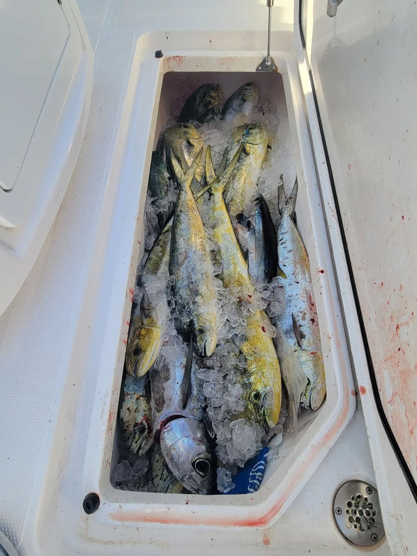 Fishing in Marathon, Florida