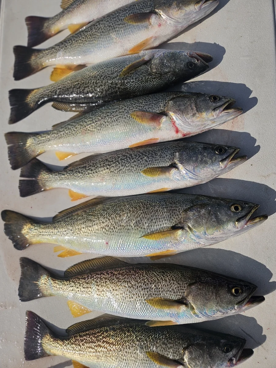 Fishing in Howard, New York