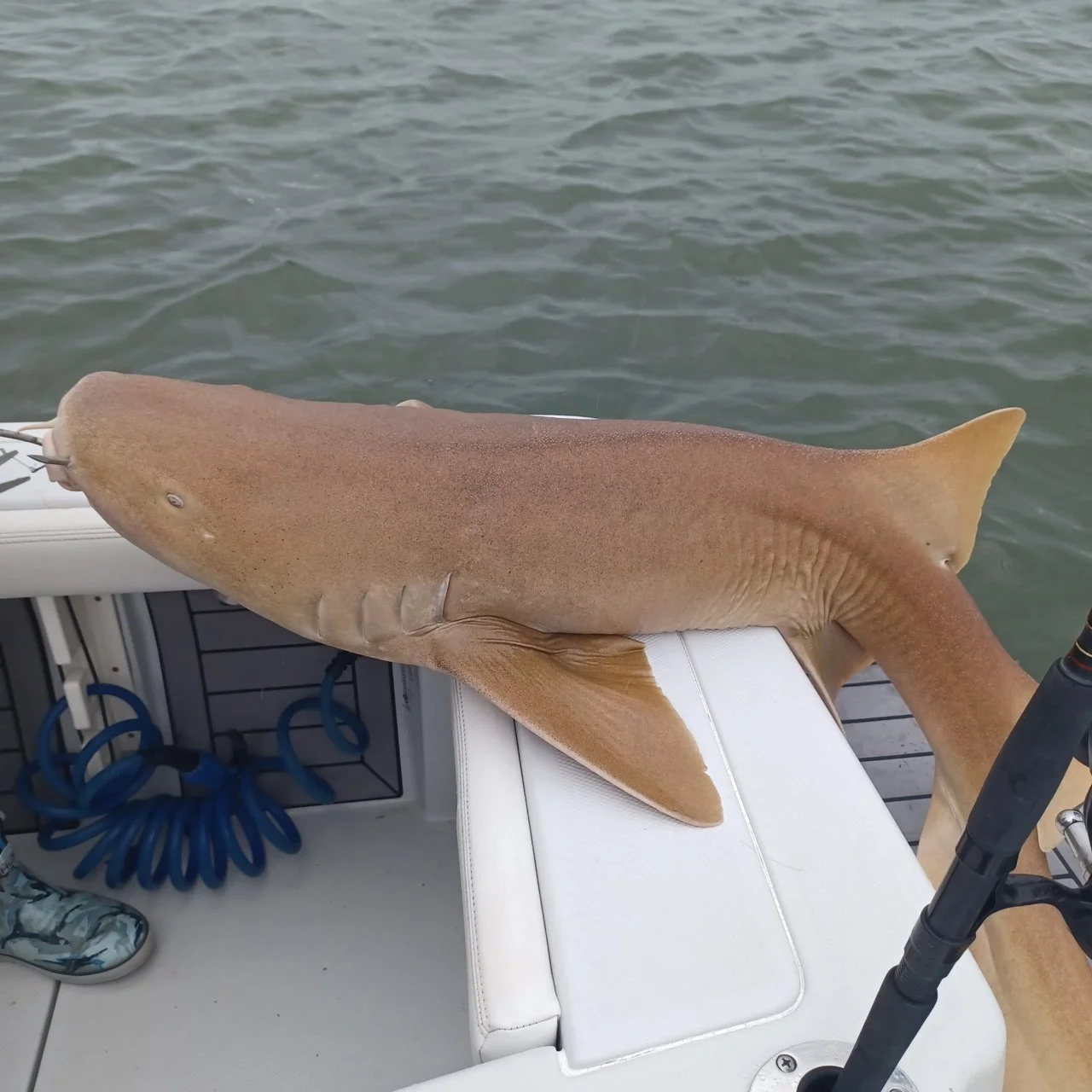 Fishing in St. Augustine, Florida