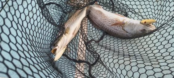 Fishing in Wilmington, North Carolina