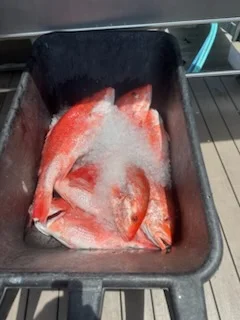 Fishing in Cape Canaveral, Florida