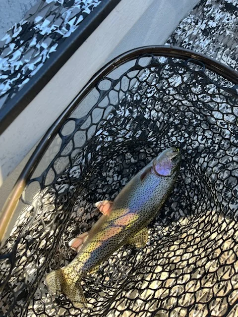 Fishing in Heber Springs, Arkansas