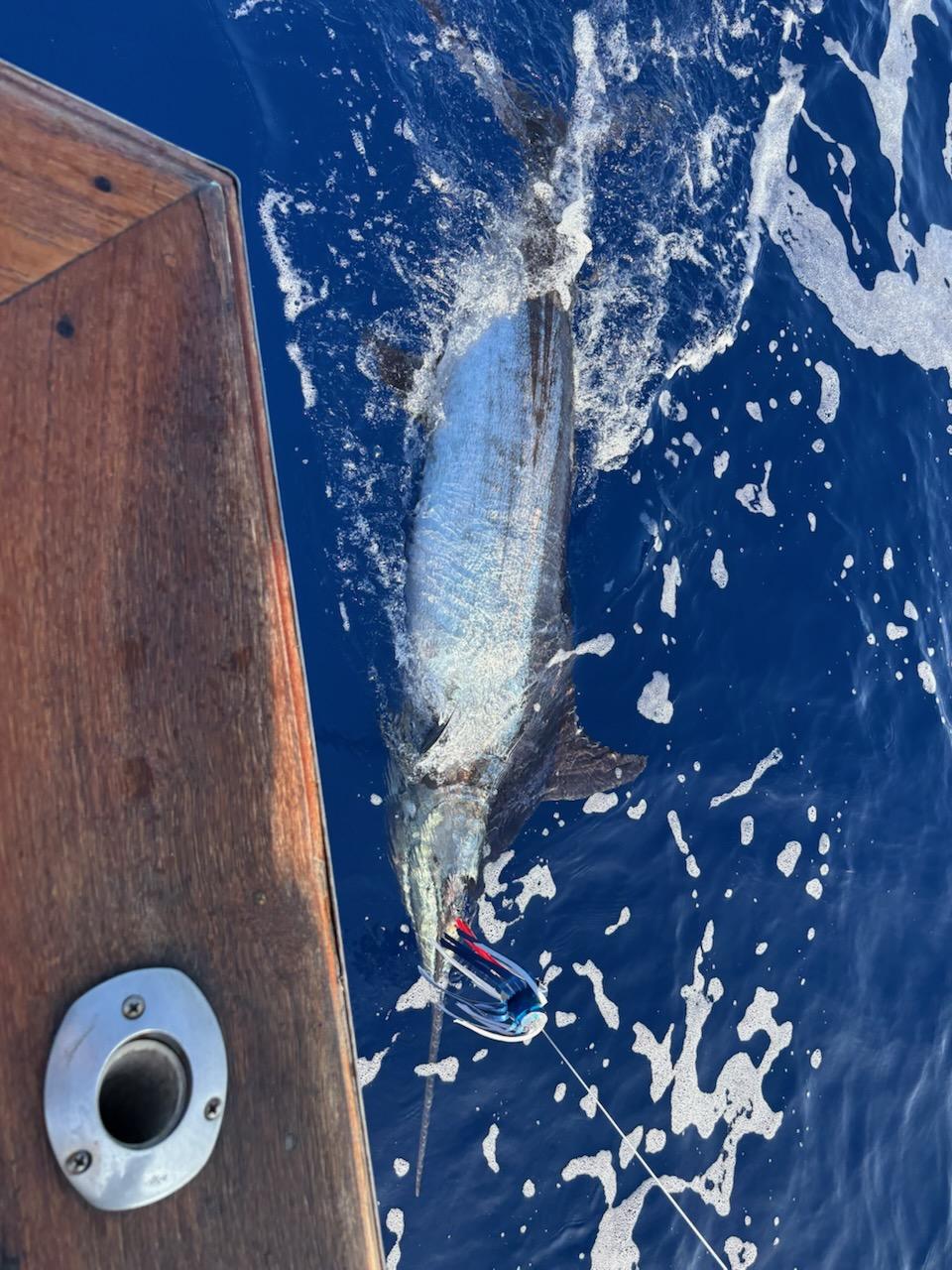 Fishing in Kaiminani, Hawaii