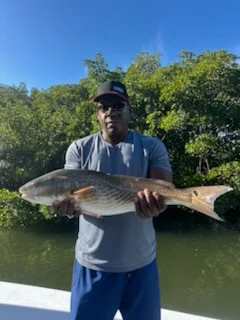 Fishing in Tampa, Florida