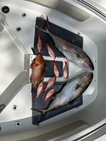 Fishing in Santa Rosa Beach, Florida